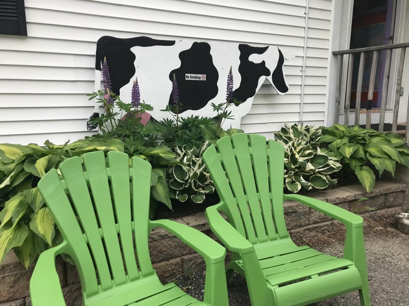 A black and white wooden cow on the shop’s clapboard wall above two green Adirondack chairs