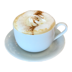 A dulce de leche latte with a dusting of cinnamon in a cup and saucer