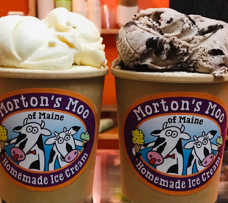 Two Morton’s Moo cups heaped with vanilla and cookies and cream ice cream